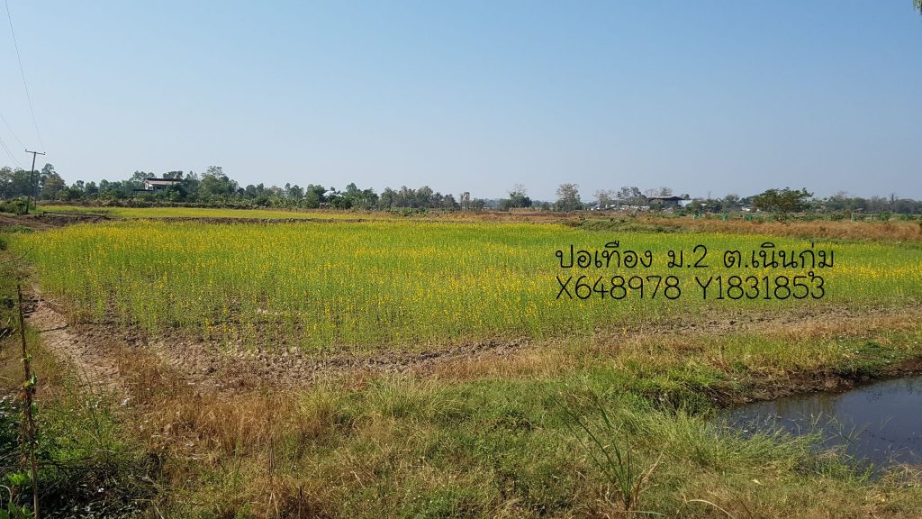 ม.2 ต.เนินกุ่ม