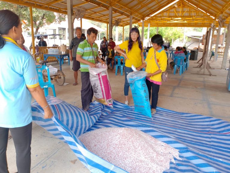 โครงการระบบส่งเสริมเกษตรแบบแปลงใหญ่เพื่อปรับเพิ่มผลิตภาพการผลิต 2568 หมู่ 6 ตำบลท่าตาล