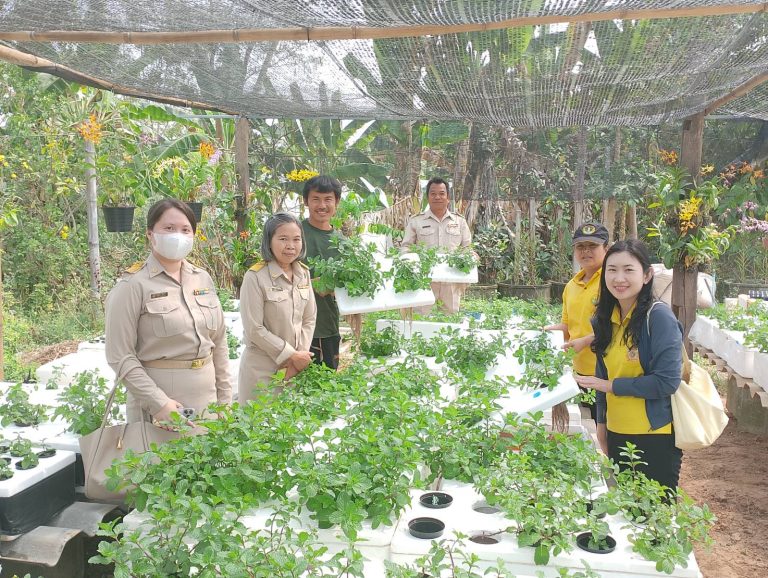 ติดตามเยี่ยมเยี่ยน smart farmer ตำบลท่าตาล อำเภอบางกระทุ่ม จังหวัดพิษณุโลก (นายภูริพจน์ วิชฉิมพา)