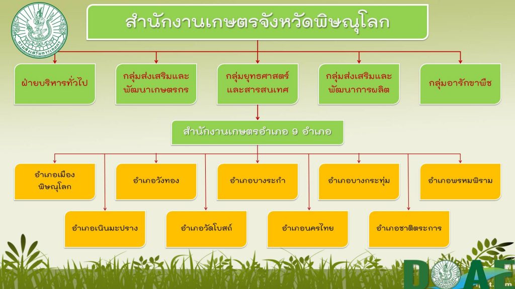 โครงสร้างหน่วยงาน